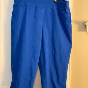 Alfred Dunner Crop Pants Blue Sz 22